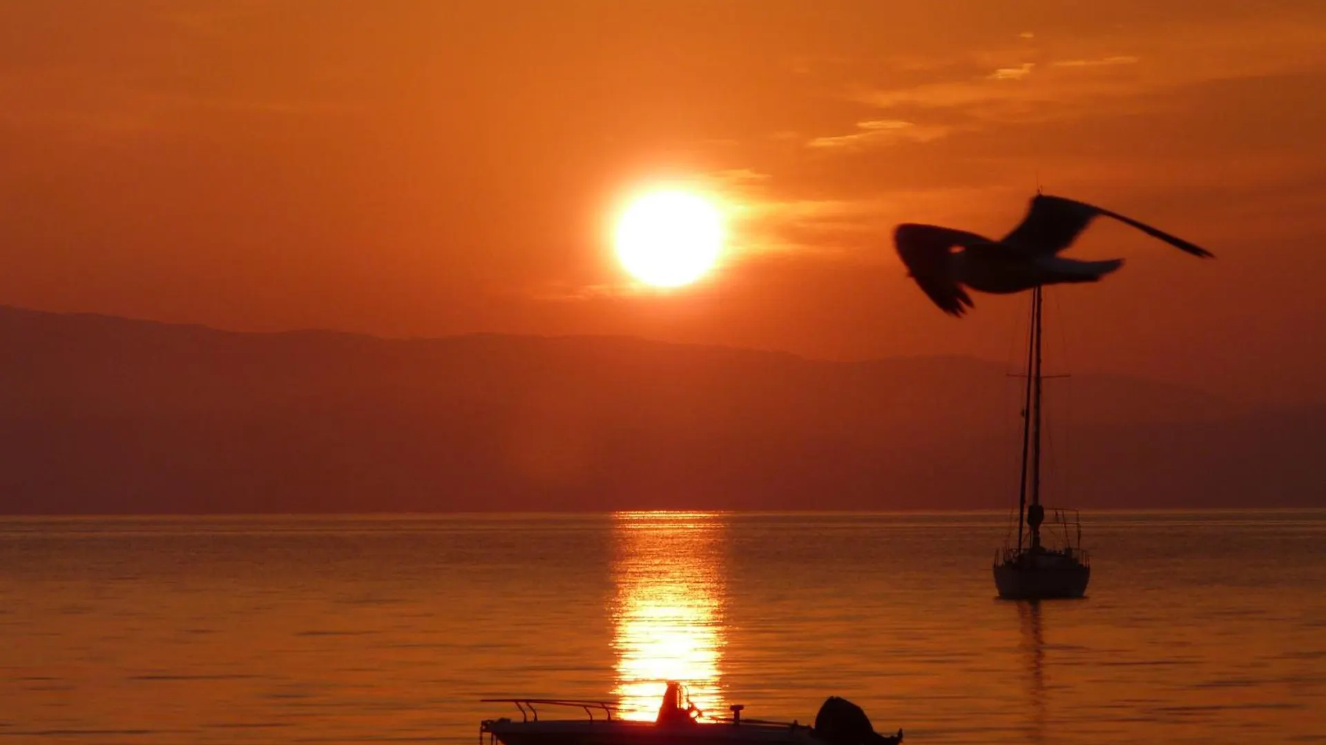 Le Surplage Hyeres Motel